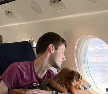 Vicuna Air Introduces Vicuna Waypoints: Extending Its Pet-First Network Beyond the Flight